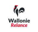 Plan de relance wallon